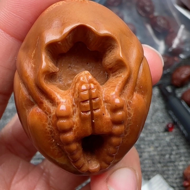 橄榄核手串橄榄菜等经济作物和