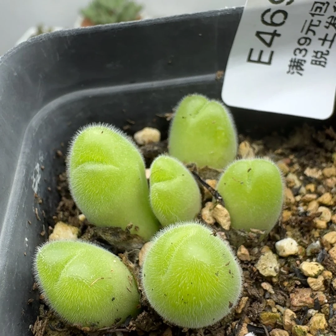 469哈哈哈哈哈哈哈哈