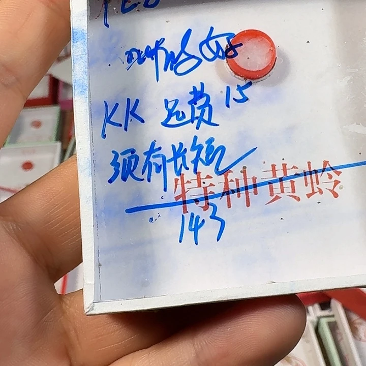 K***K蟋蟀111111111111111111