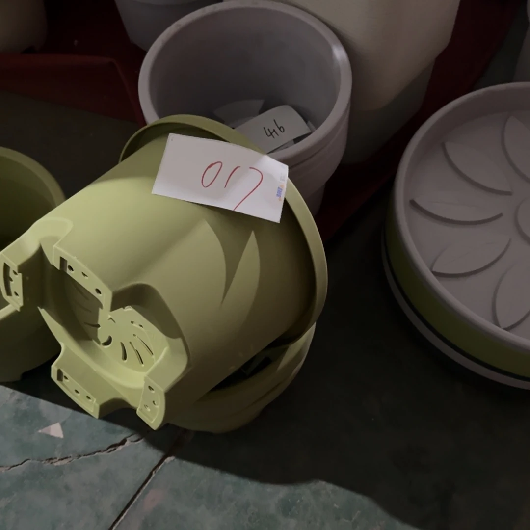 编号是017号的017号的