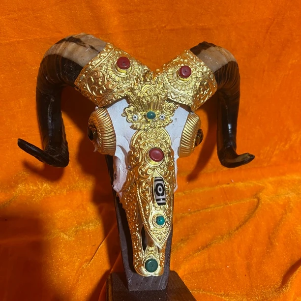 藏式包铜羊头骨工艺品 手工镶铜羊头标本 壁挂装饰 摆件店面装饰