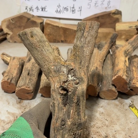 大果紫檀（缅甸花梨）淡**尘