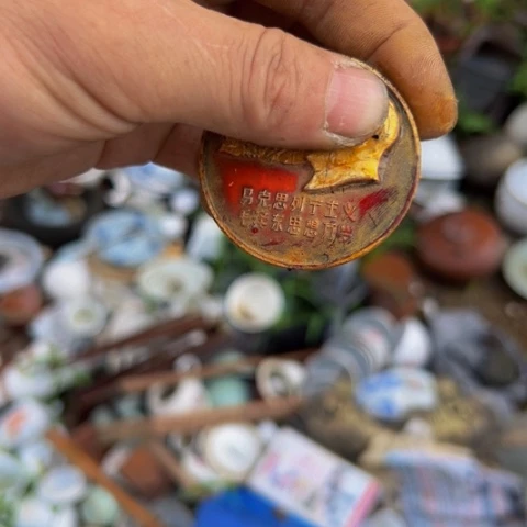 朱***珠核桃木/黑胡桃（胡桃木）