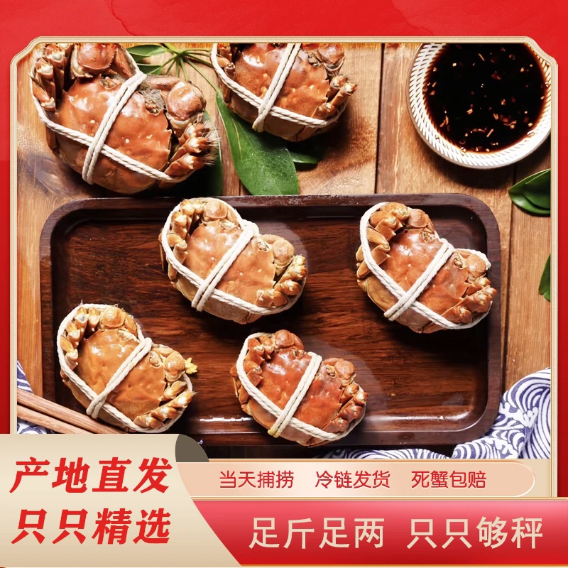 【活蟹】江苏鲜活大闸蟹全母蟹（2.7-3.0两）共8-10只京东顺丰包邮