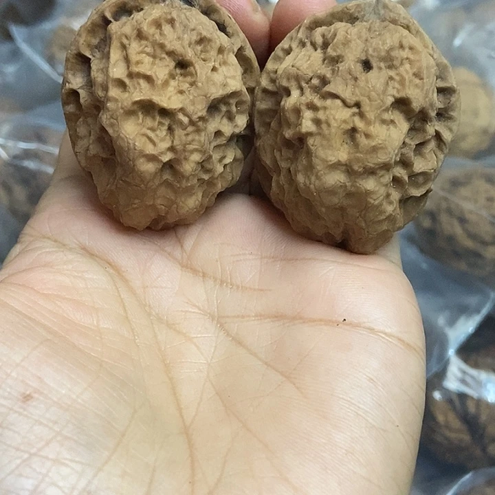 把件文玩核桃云南铁核桃基地37