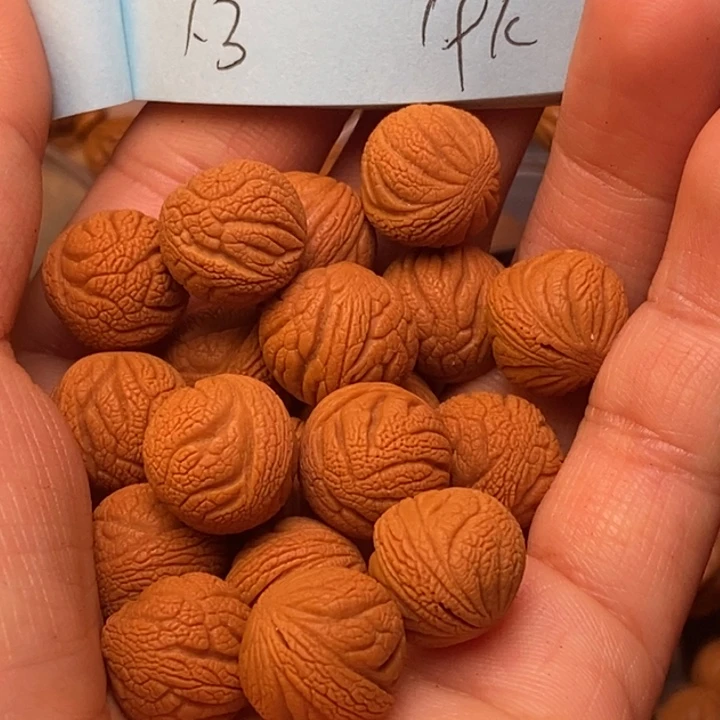 吊坠桃核秦岭龙纹桃核13尺寸