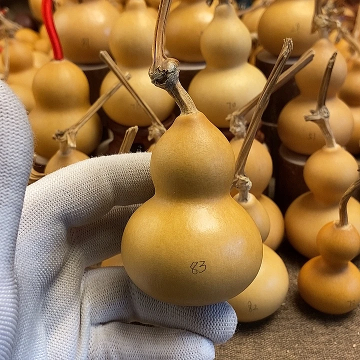 文玩葫芦 完美主义者 慎拍83