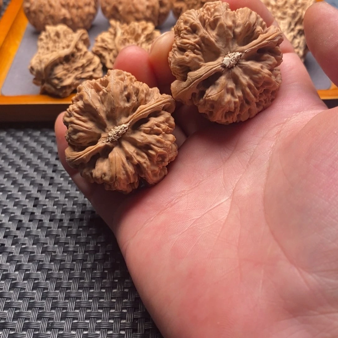 文玩核桃精品对大粗筋