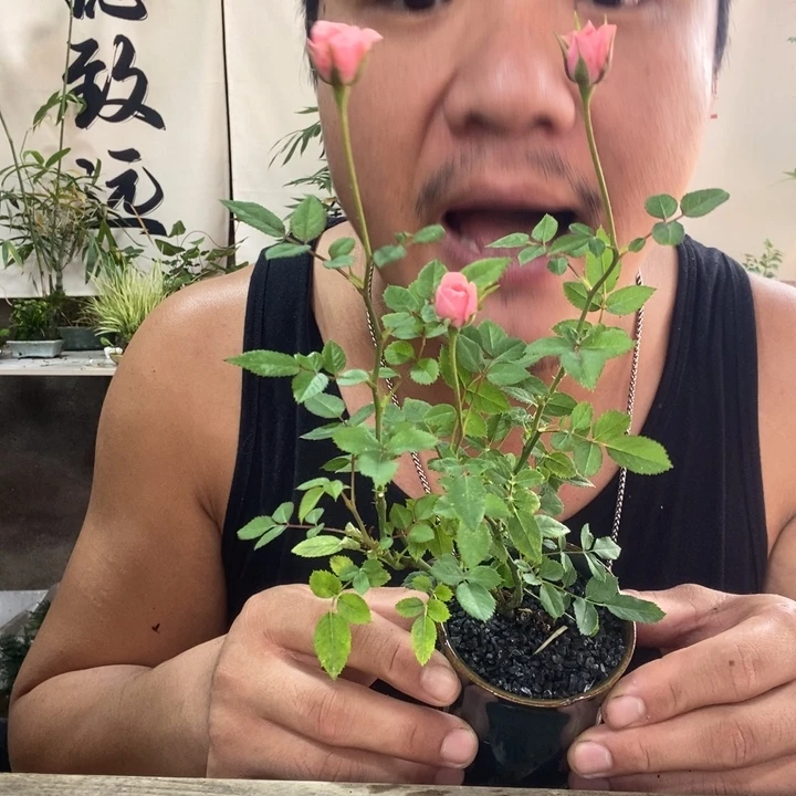 陈***凡无花朵退款拉黑拉黑268