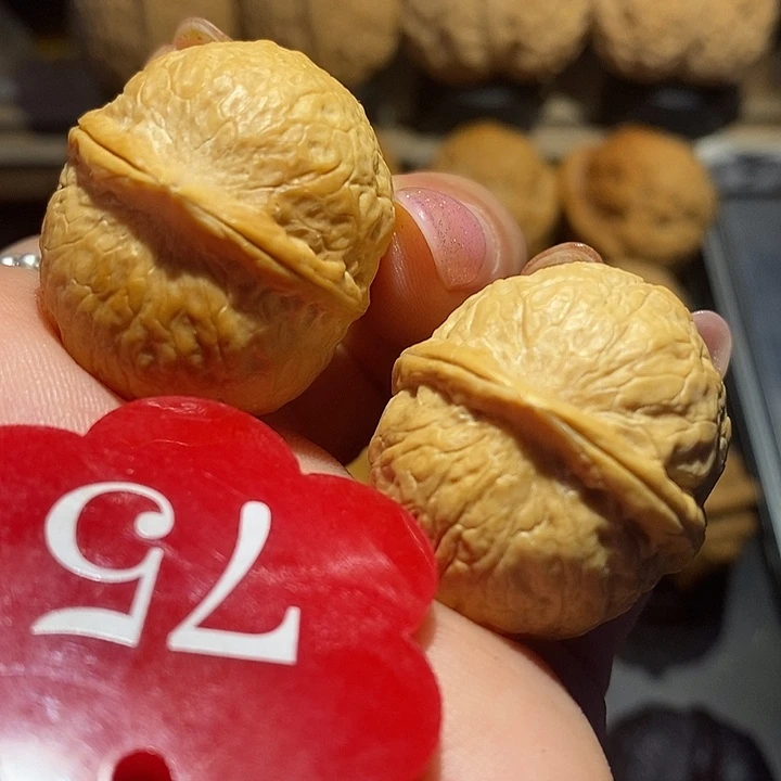 核桃龙珠核桃尺寸31