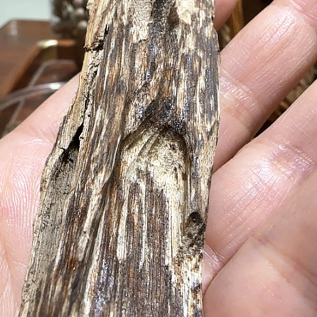 【闪购商品】沉香手串芽庄品香料14.5克