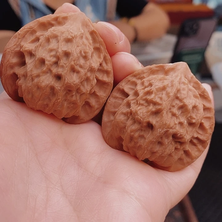 核桃41尺公子帽核桃