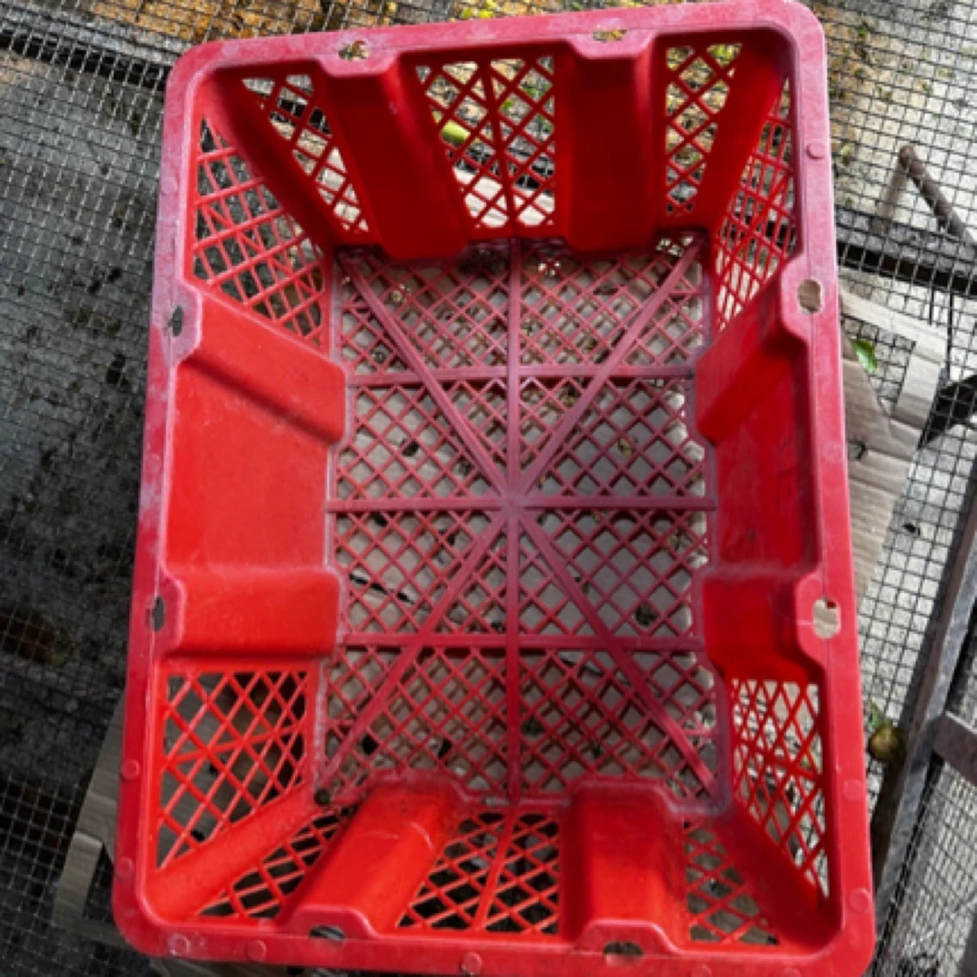 塑料制品半斤4个包装狮头镂空落地家用塑料筐