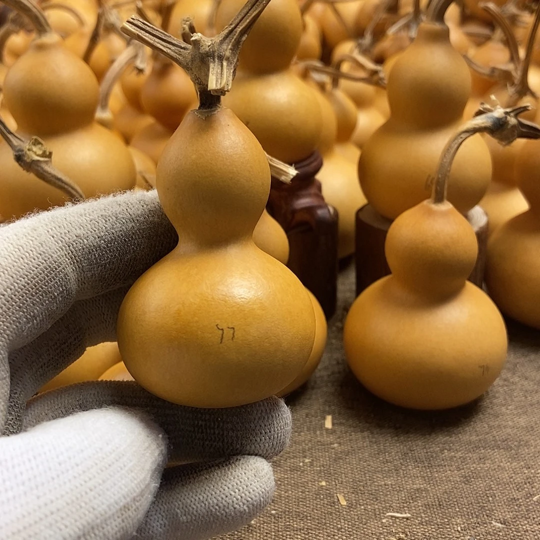 文玩葫芦 完美主义者 慎拍77