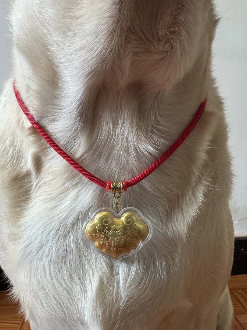 真不掉色金箔吊坠狗狗饰品福字长命锁中型中大型狗狗饰品喜气红绳