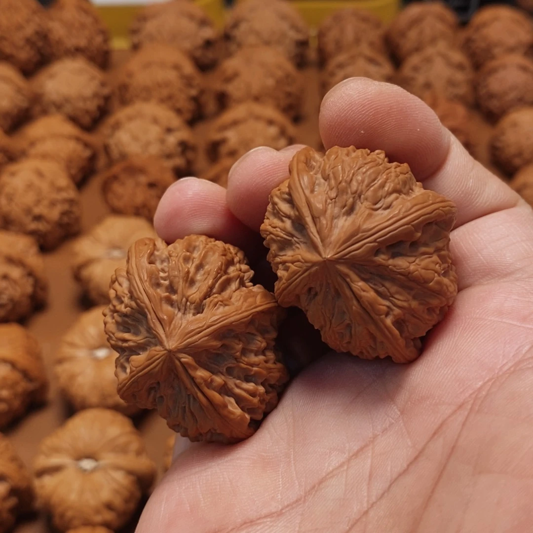 文玩核桃把件41尺 玉龙粗筋正四棱 3