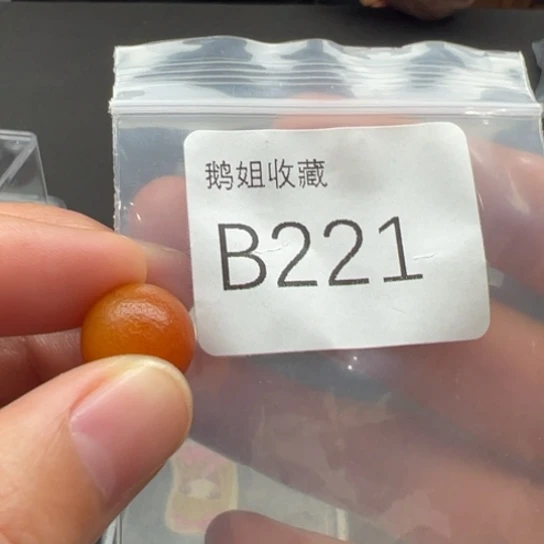 菩提根/象牙果吊坠