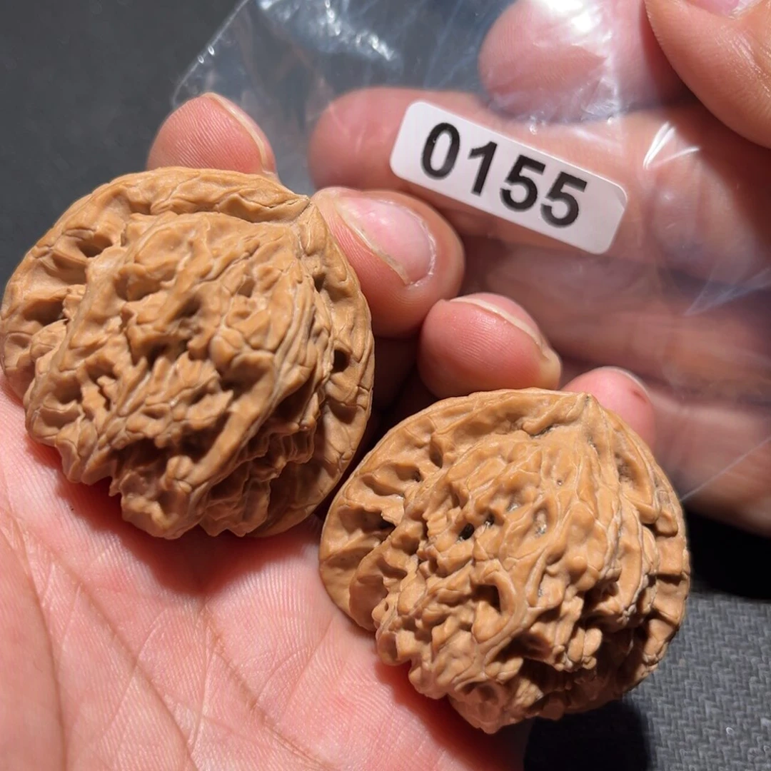 文玩核桃把件42白狮子