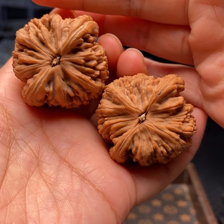 把件文玩核桃虎头王40尺