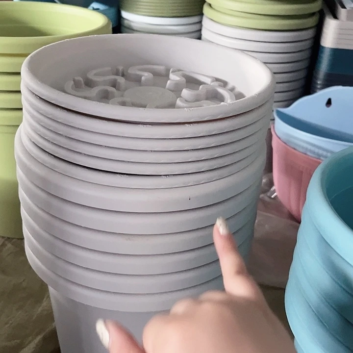 瑕疵四季盆4号发6个加托编号14