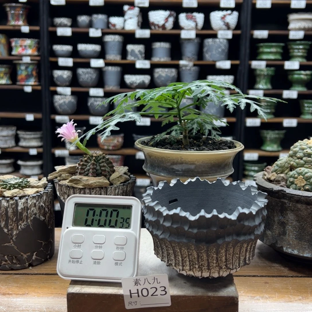 素八九陶瓷口10高7.5半***?