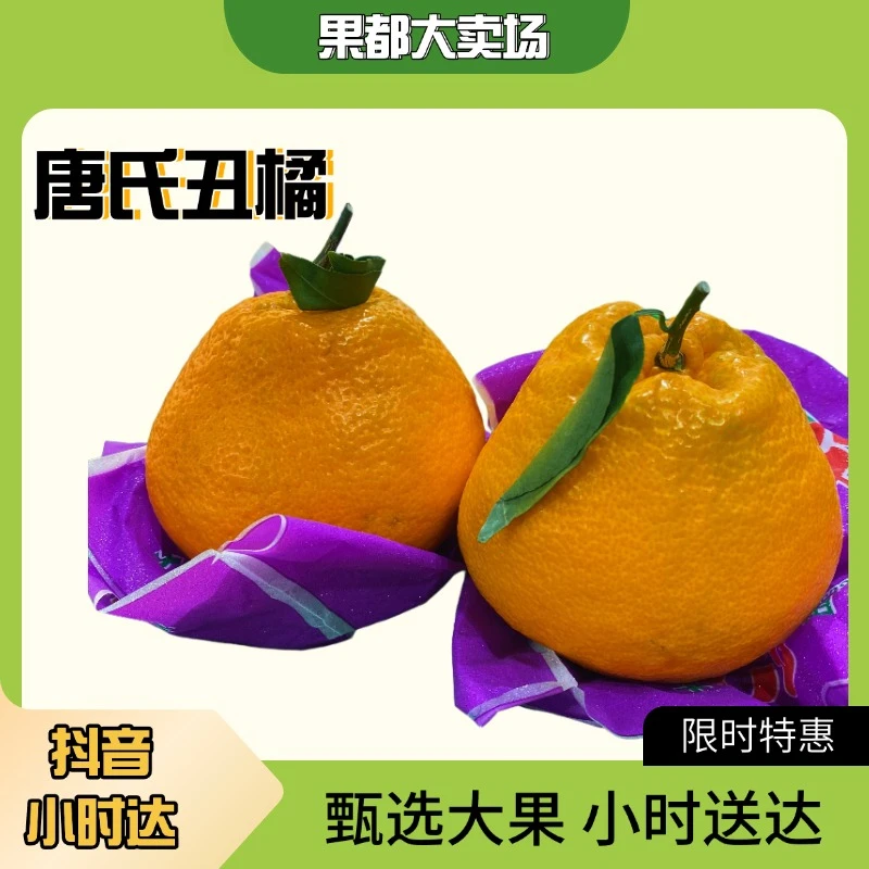 唐氏丑橘大果两个约1.7斤