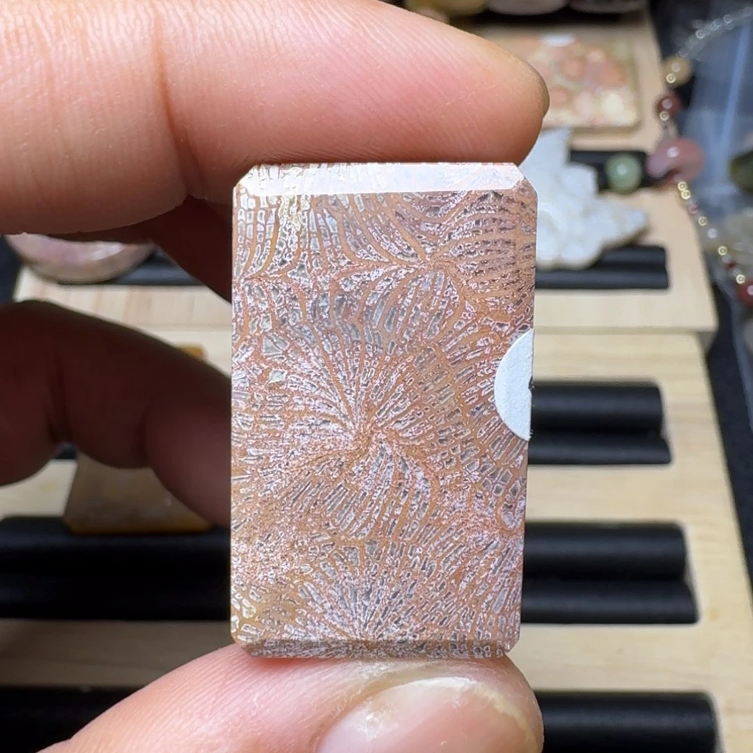 未镶嵌纯天然色有机玉石保真色硅化玉