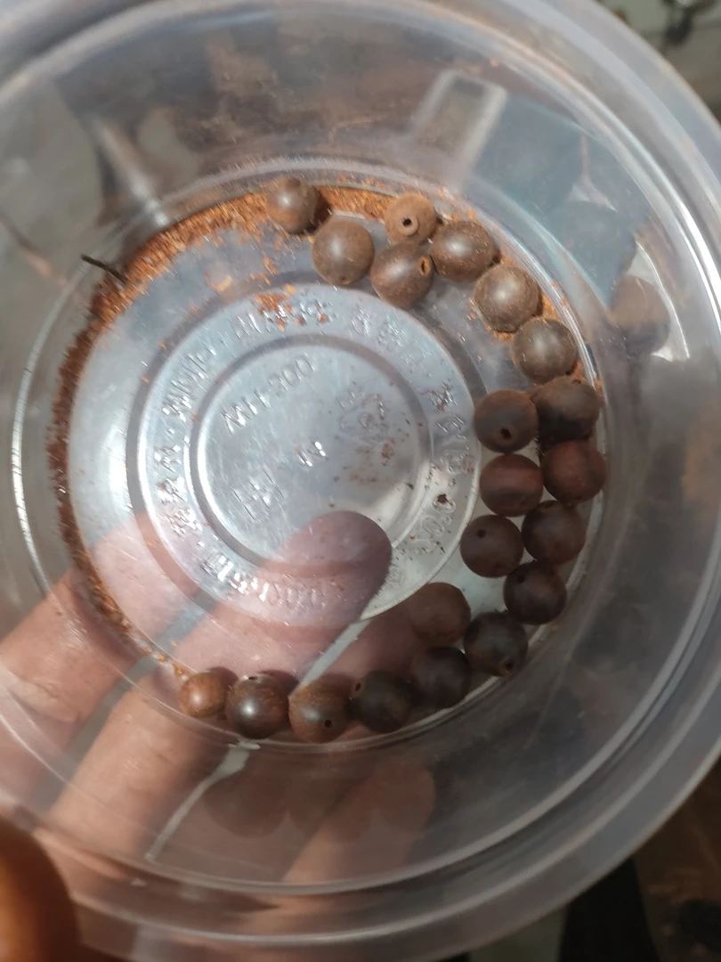 小叶紫檀 1.0 单圈 22 颗