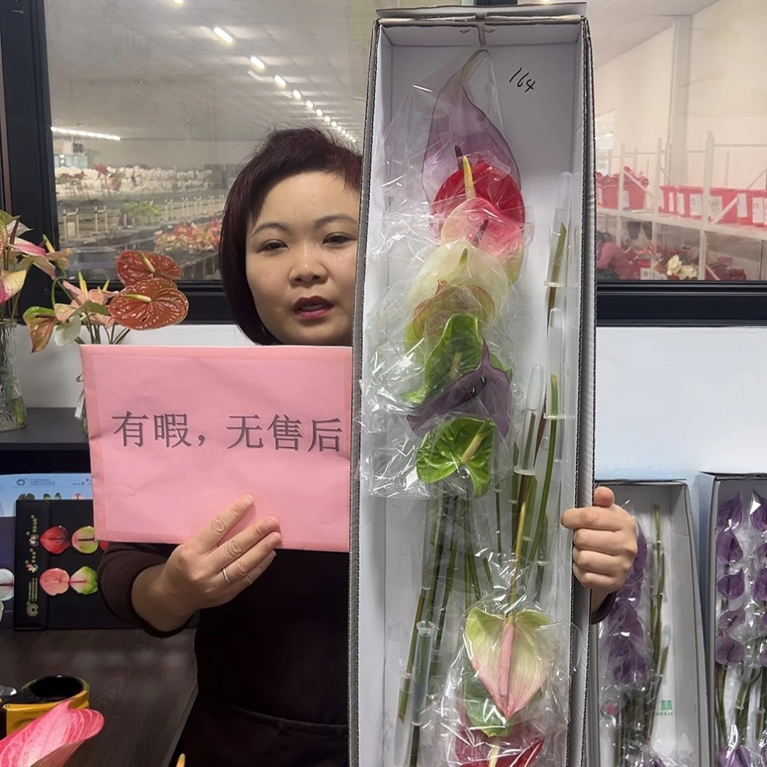 完全开放混色-16枝装无售后款164