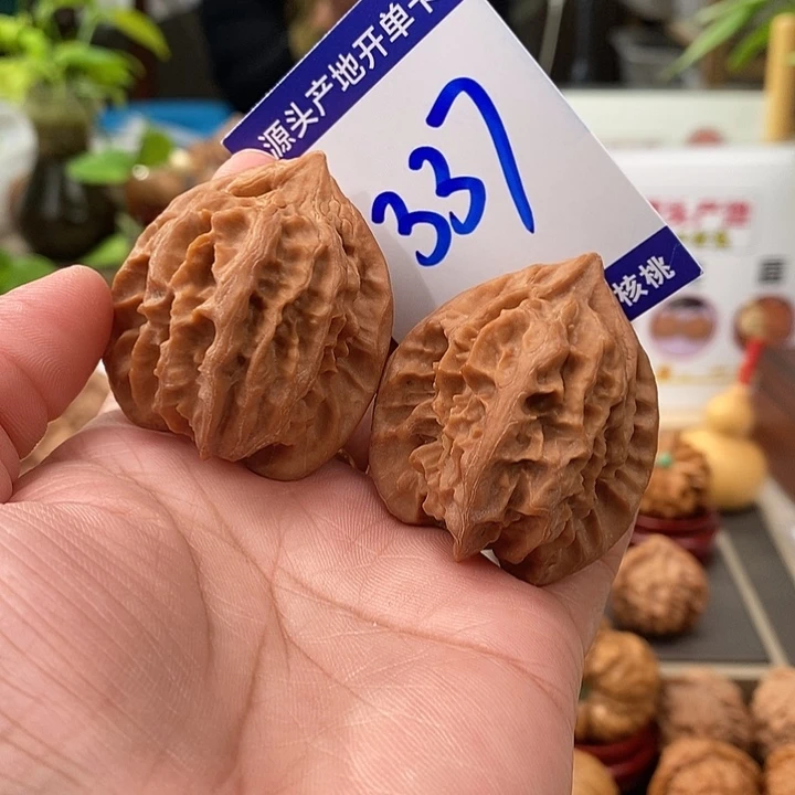 文玩核桃把件40全品大龙337号