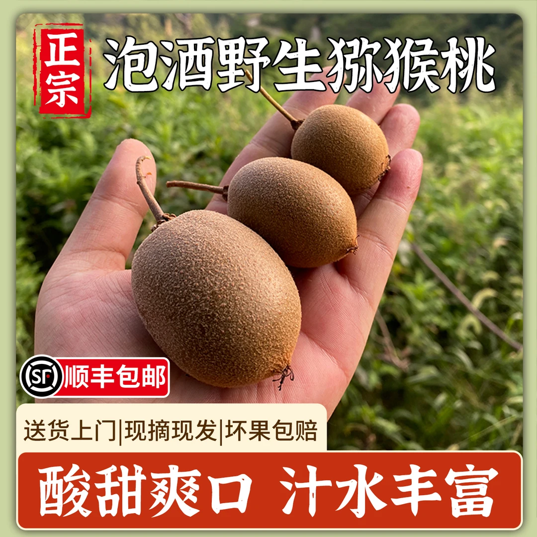 正宗浙江野生小猕猴桃新鲜泡酒水果现摘无毛硬果绿心藤梨顺丰包邮