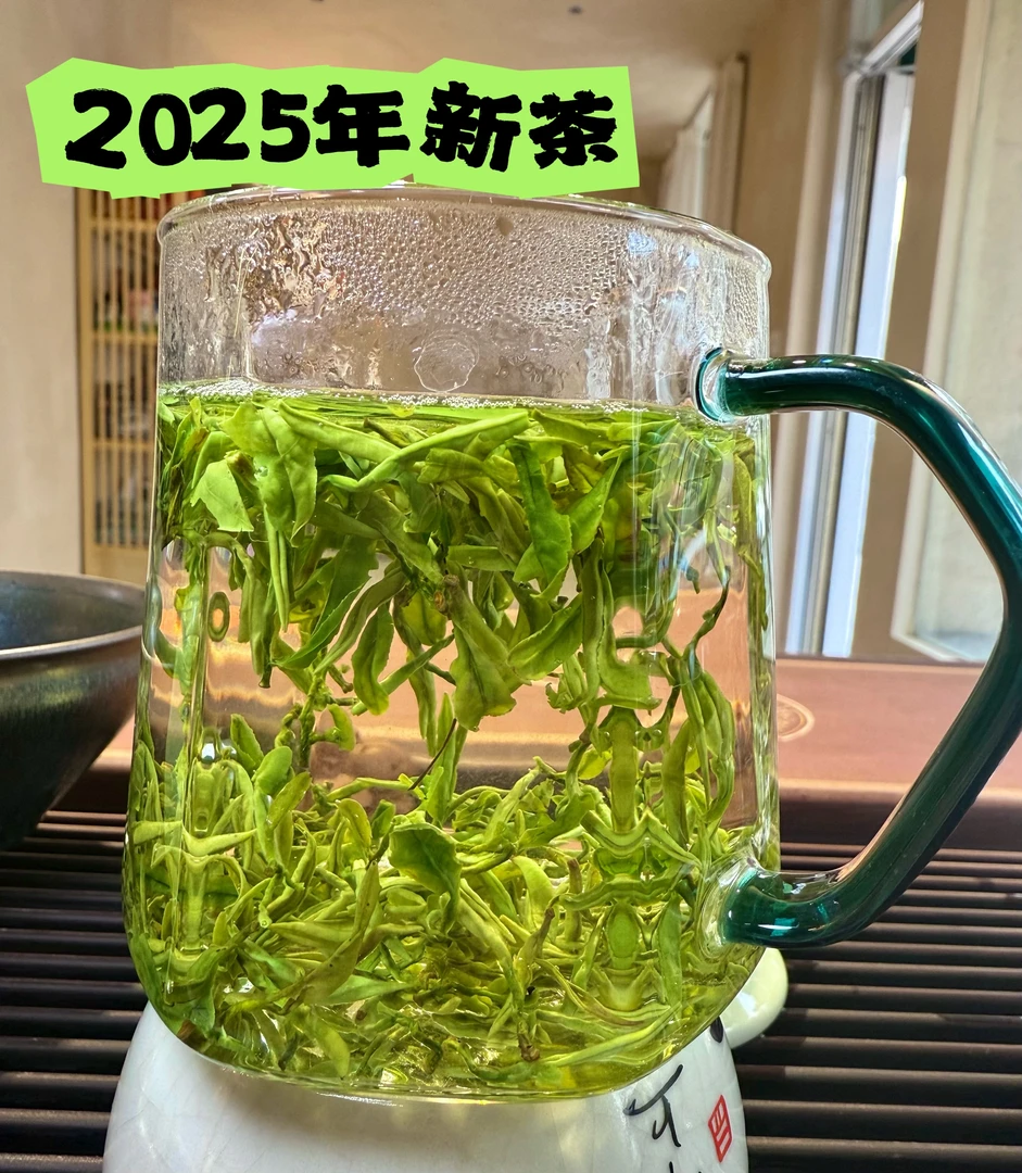 【2025年新茶】日照绿茶露天春茶250g/500g-4号