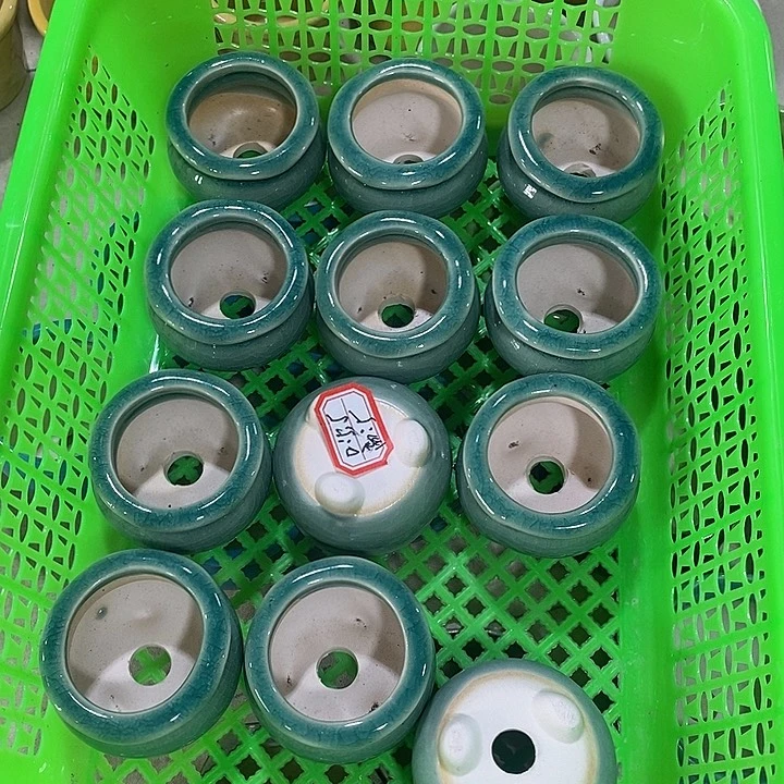 花盆抢购清货马上开始