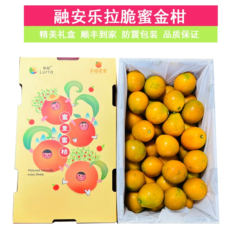广西脆蜜金桔3斤礼盒装脆皮金桔皮薄金桔新鲜水果脆甜冰糖滑皮