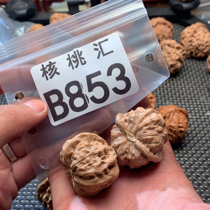 吊坠文玩核桃门头沟