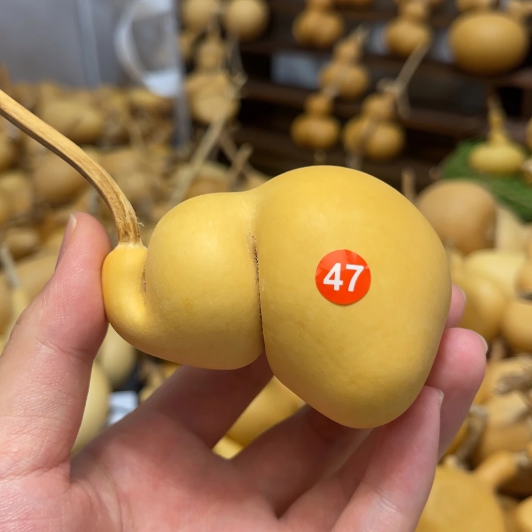 47号闪拍葫芦（价格很低，No退No换）