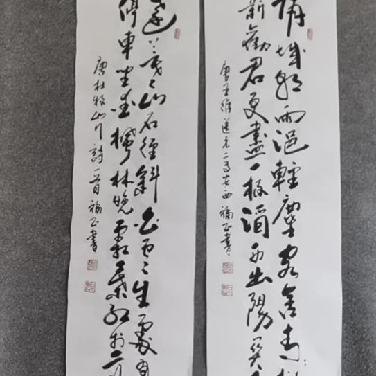 知***者书法书法作品书法作品