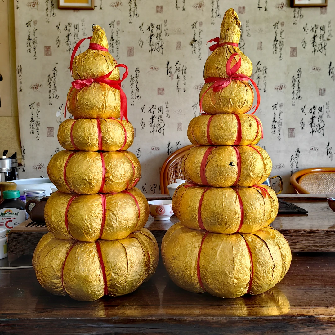 2023年云南普洱生茶，金瓜一对12公斤。