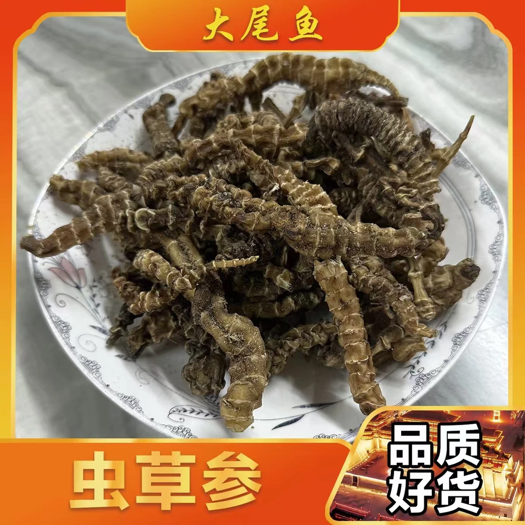 【虫草参】精选品质 干货
