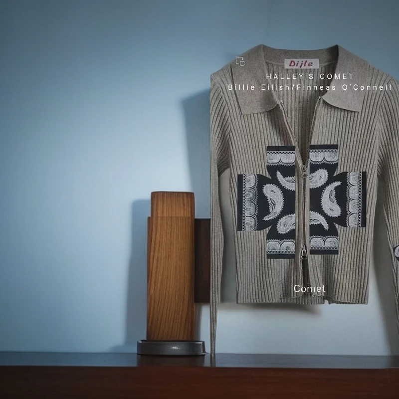 厚款轻职风短款拉链连帽轻奢卫衣休闲上衣长袖毛衫灰色条纹翻领