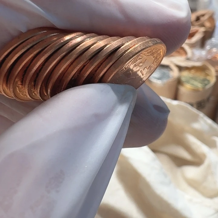 其他普通金属10枚，2分之一币