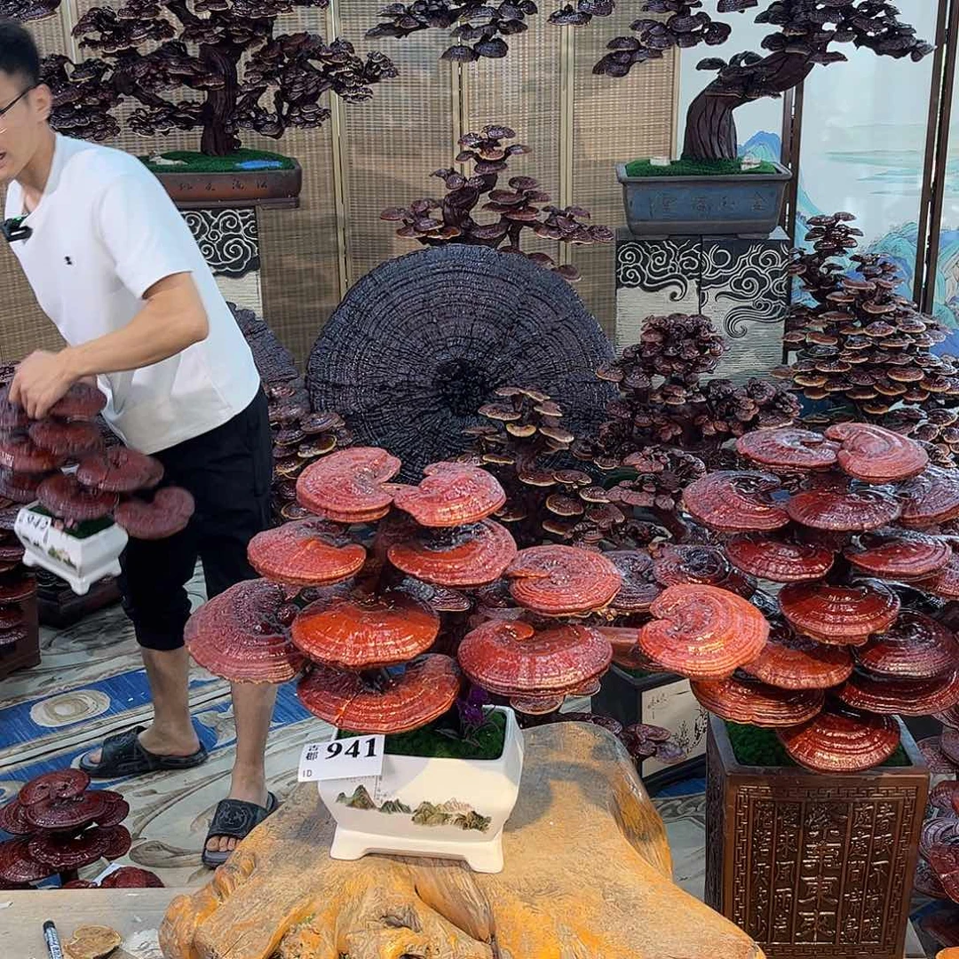 无花朵88888888888888888888