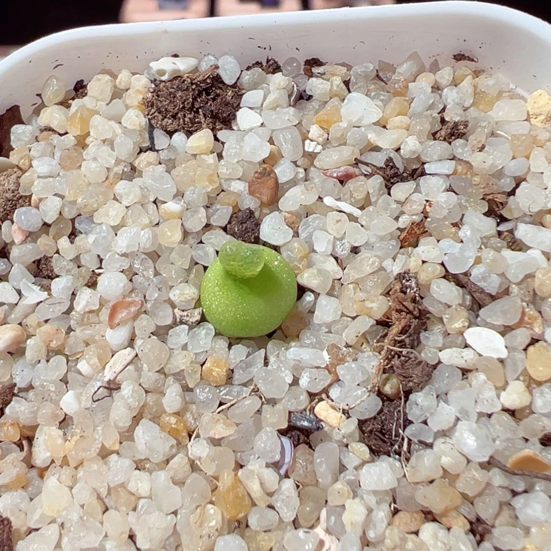 W****?0205-224.我是真的不