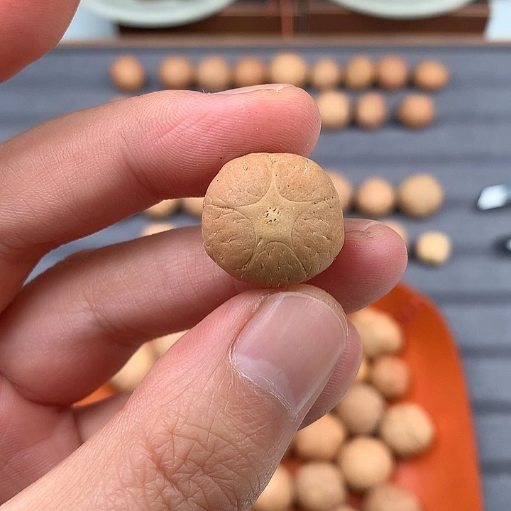 吊坠凤眼菩提19+五星，非质量问题开孔不退