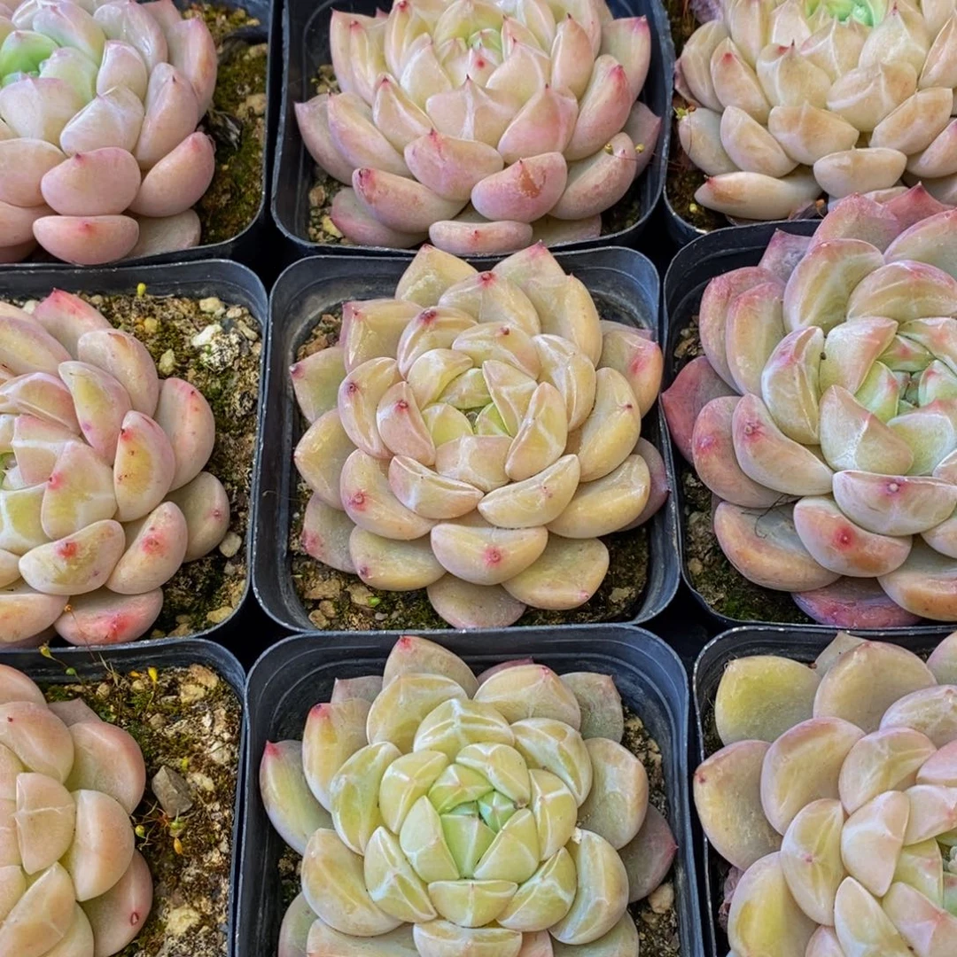 361的人生态度是