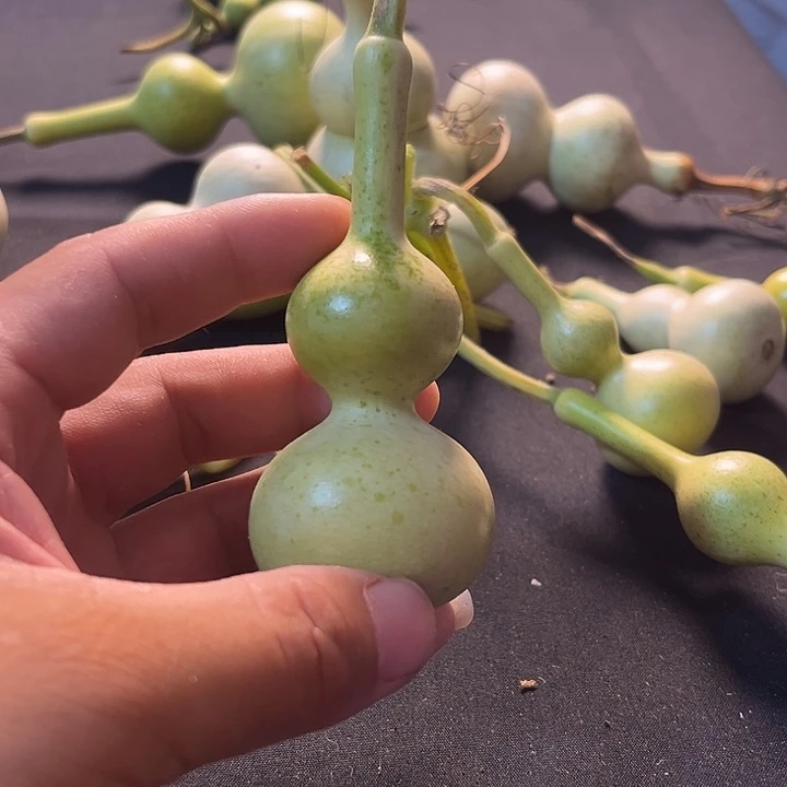 文玩葫芦八宝杆葫芦