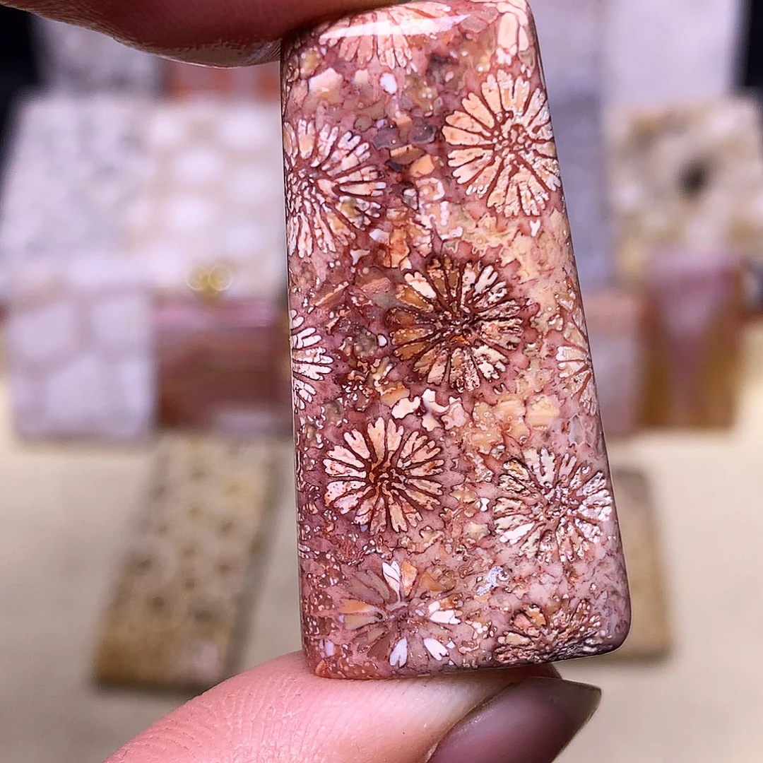 硅化玉珠宝奇石合金❄️****