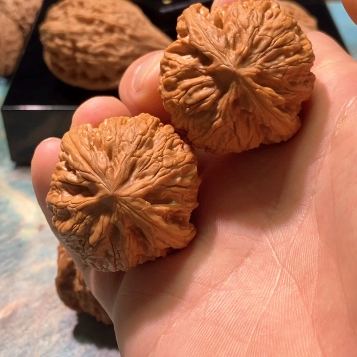 把件文玩核桃39蛟龙，点修