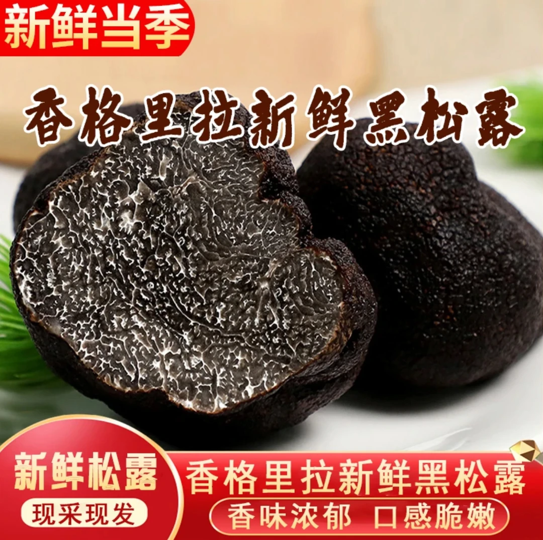 云南高黎贡山新鲜野生黑松露/猪拱菌/松露刺身 顺丰空运冷链包邮