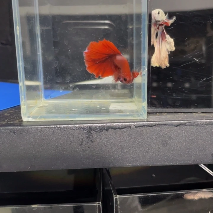 海水哈哈哈哈哈哈哈哈哈哈试试